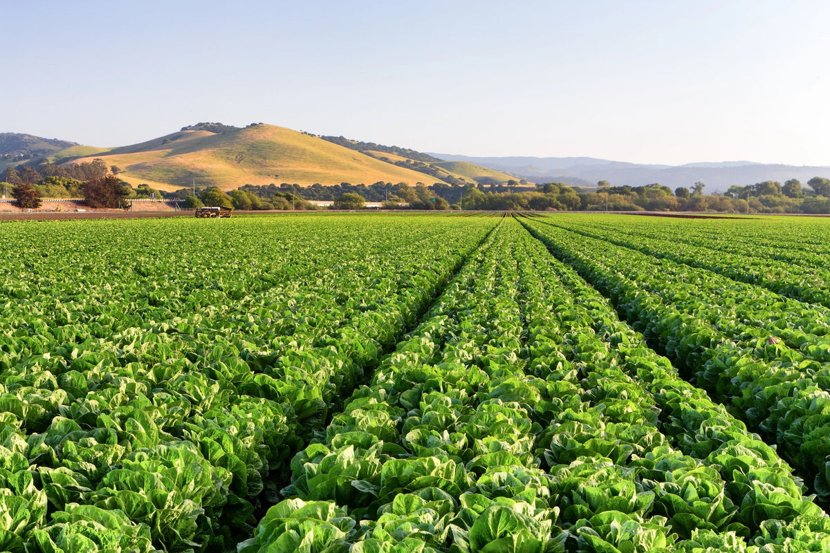 Agriculture