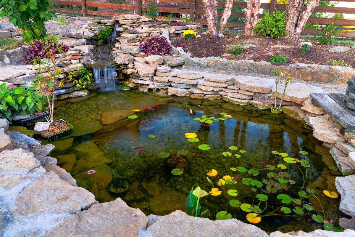 Pond & Garden